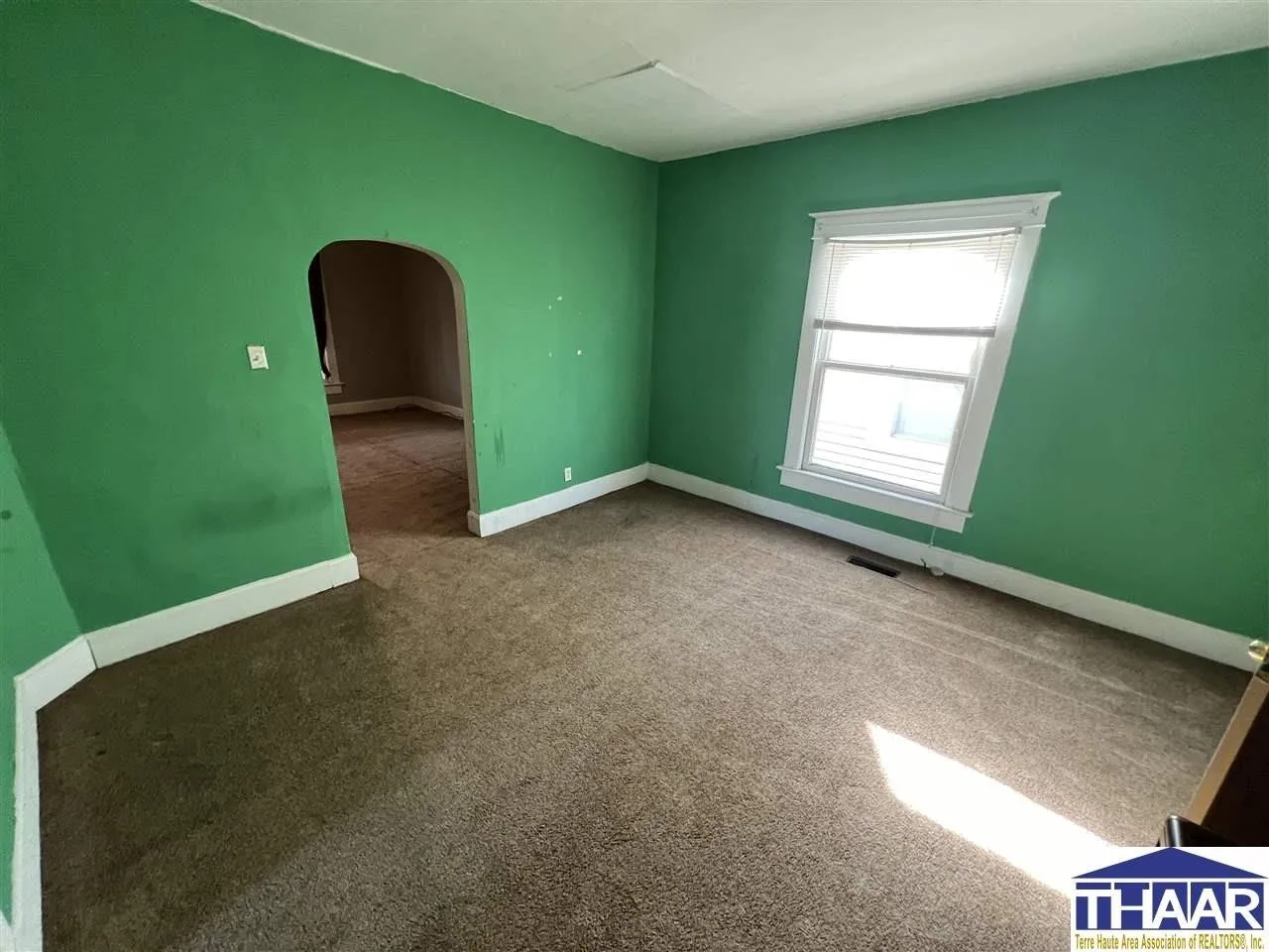 A room with green walls and brown carpet.